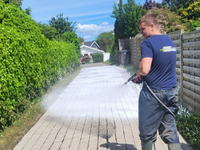 fliserens algebehandling